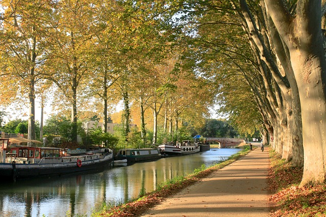 Viajar en autocaravana al sur de Francia