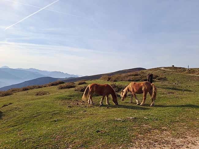 viaje en autocaravana por asturias